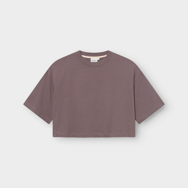 Dedicated Ljusdal Sparrow Brown T-Shirt braun