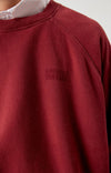 American Vintage Jitbay Sweatshirt Huckleberry Vintage – Ansicht 5