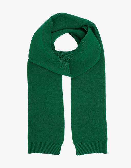 Colorful Standard Merino Wool Schal Kelly Green Damen dunkelgrün