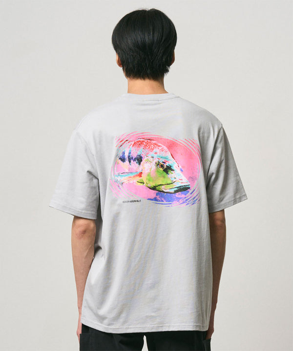 Gramicci Bass Tee Mist Herren T-Shirt Bio-Baumwolle Print hellgrau
