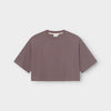 Dedicated Ljusdal Sparrow Brown T-Shirt braun