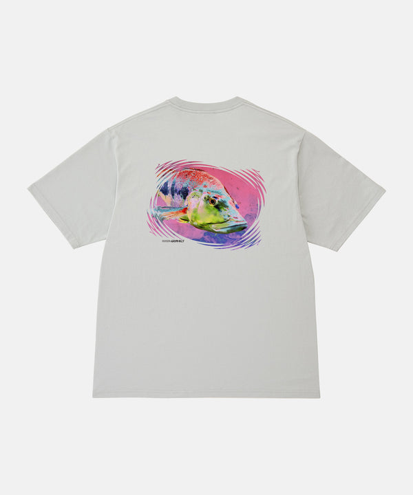 Gramicci Bass Tee Mist Herren T-Shirt Bio-Baumwolle Print hellgrau