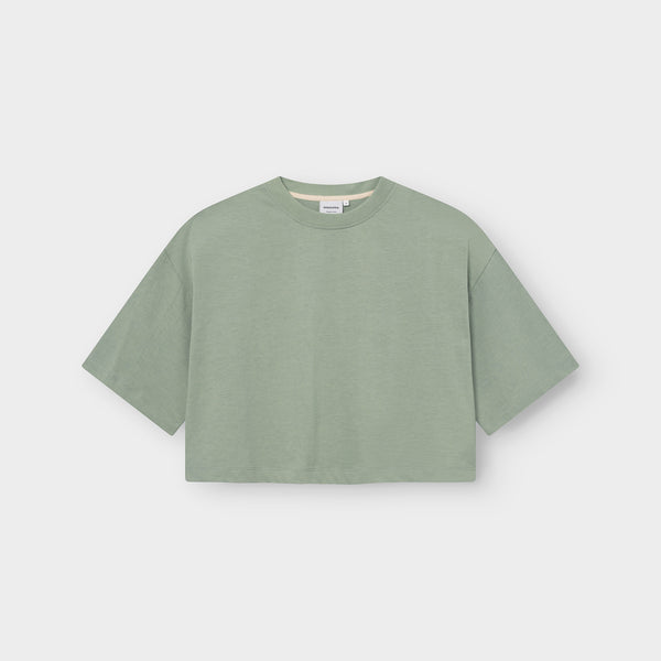 Dedicated Ljusdal Iceberg Green T-Shirt Damen grün